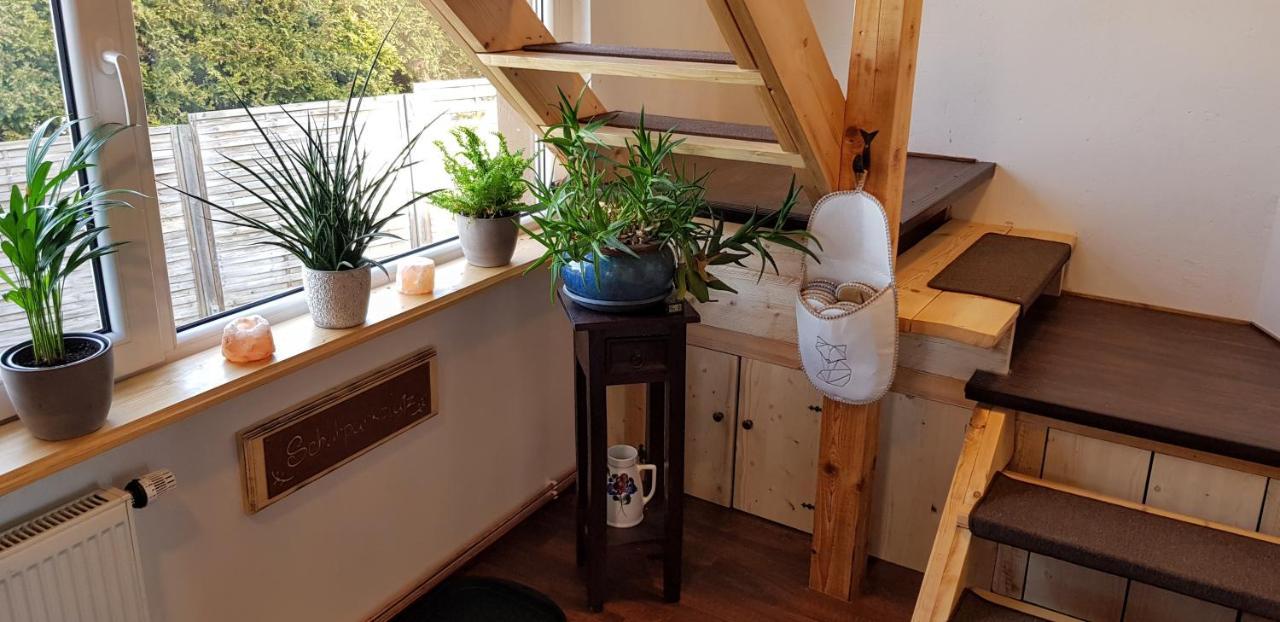 Ferienwohnung Malu Sol Im Harz - Stilvoll, Gemuetlich, Tierfreundlich - Mit Garten Allrode Buitenkant foto