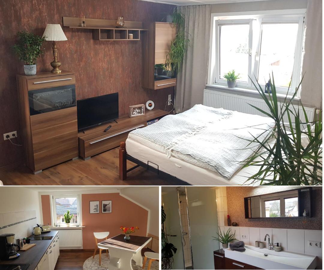 Ferienwohnung Malu Sol Im Harz - Stilvoll, Gemuetlich, Tierfreundlich - Mit Garten Allrode Buitenkant foto